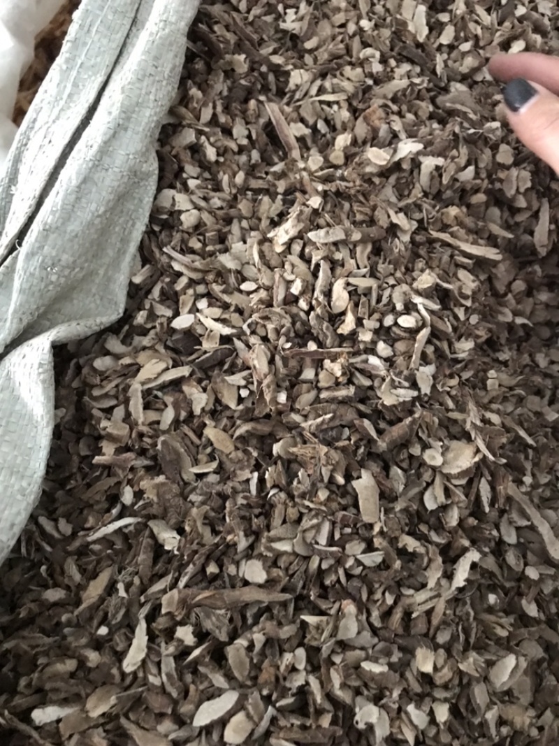 石菖蒲正品石昌蒲石菖蒲无杂质非水菖蒲