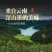 【基地直销】严选姫松茸云南直销欢迎来骚扰。