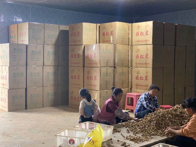 【基地直销】严选姫松茸云南直销欢迎来骚扰。