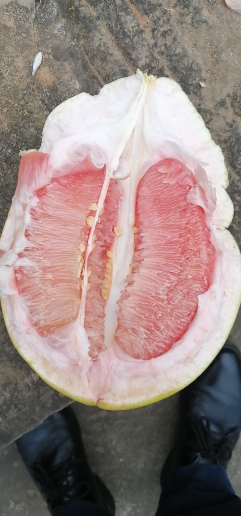 柚子大量上市，产地直供