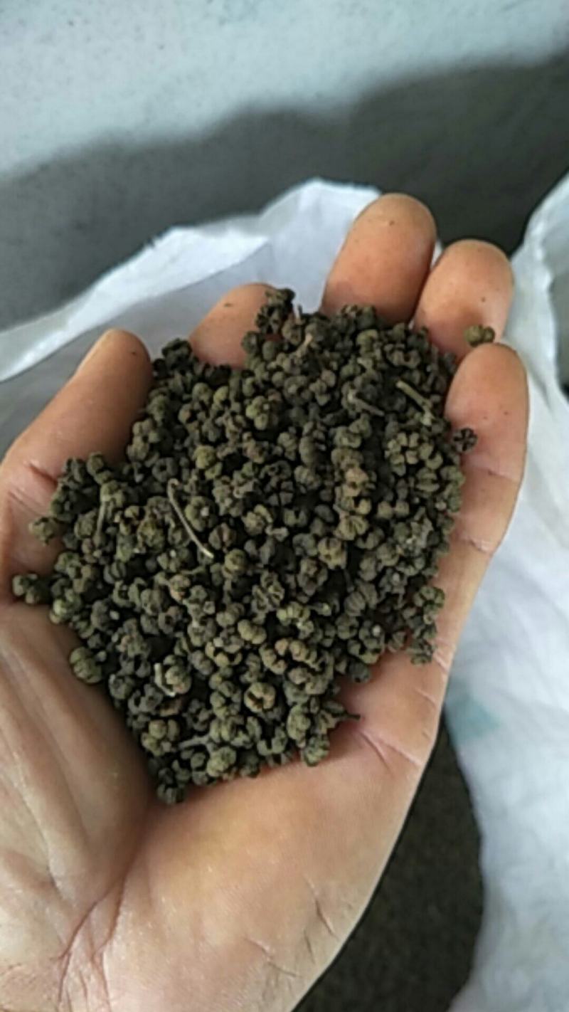 茣茱萸精品小粒中花茣茱萸
