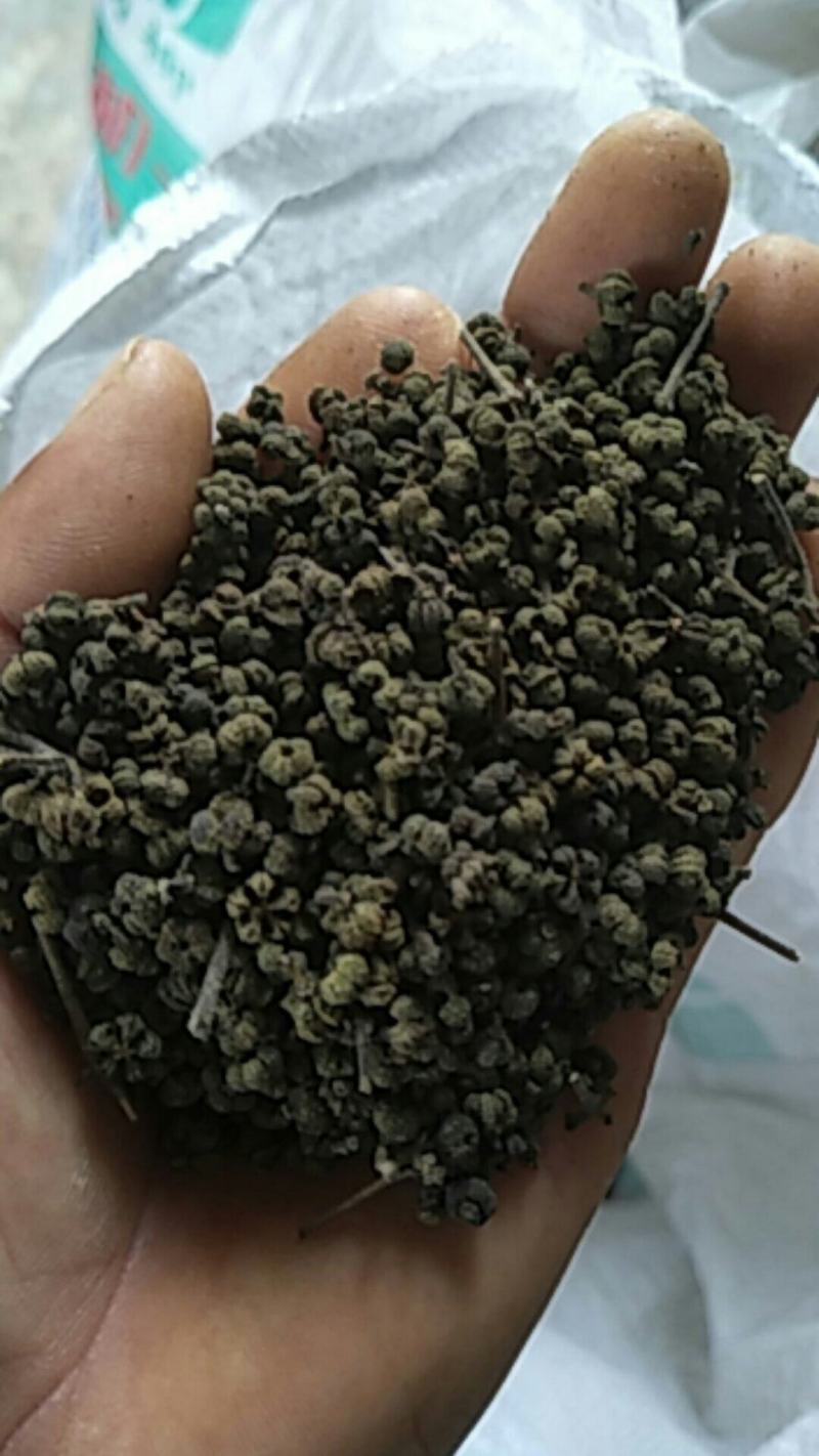 茣茱萸精品小粒中花茣茱萸