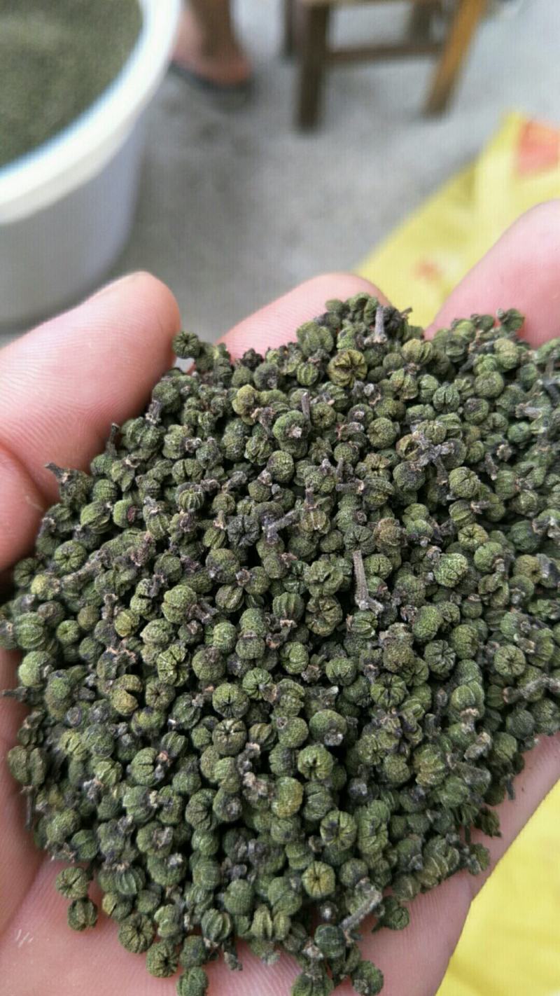 茣茱萸精品小粒中花茣茱萸
