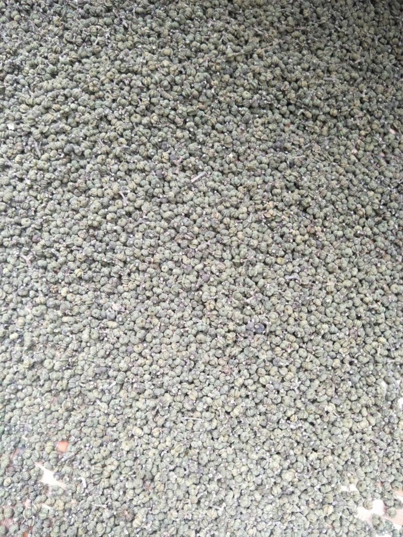 茣茱萸精品小粒中花茣茱萸