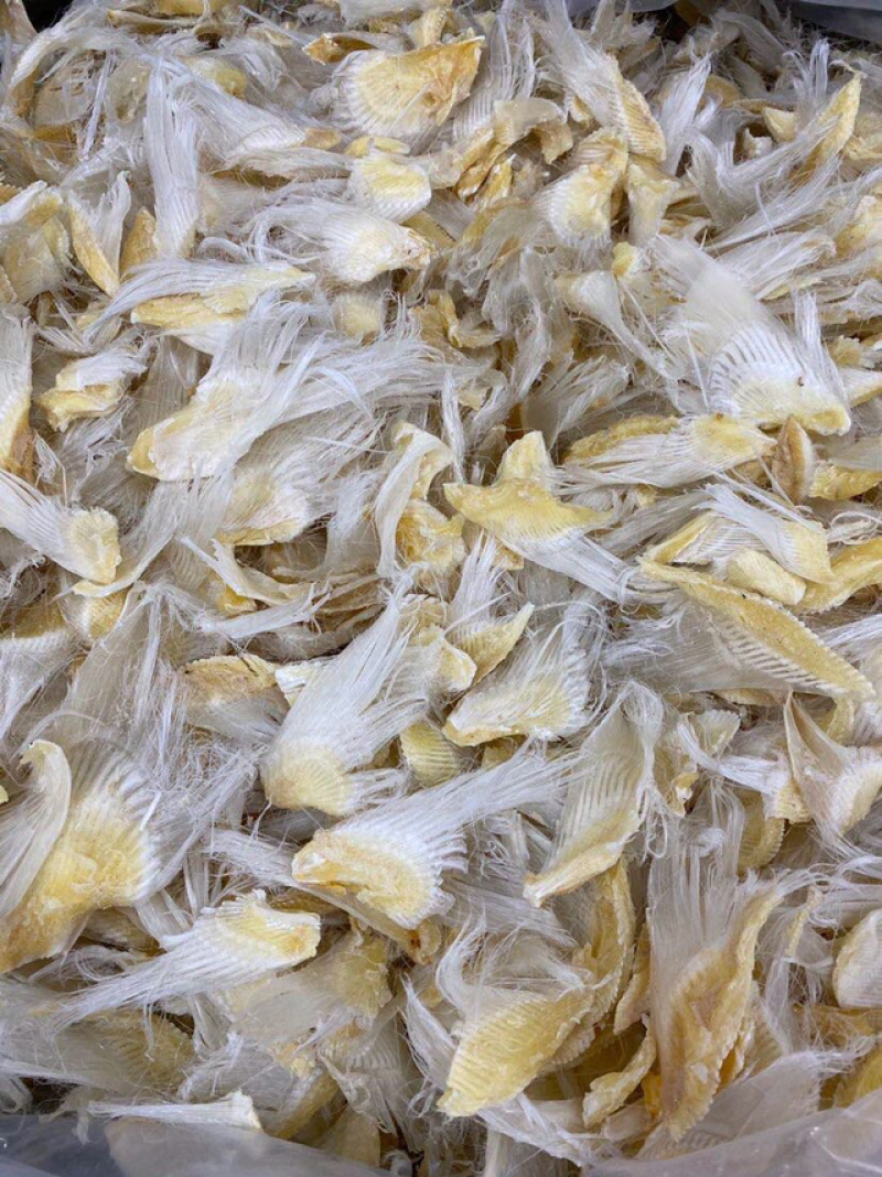 【包邮代发】鱼翅滑沙小鱼翅新鲜滋补海味干货汤料食材味道鲜