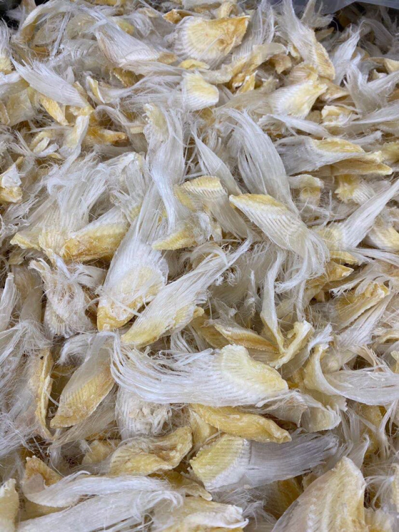 【包邮代发】鱼翅滑沙小鱼翅新鲜滋补海味干货汤料食材味道鲜