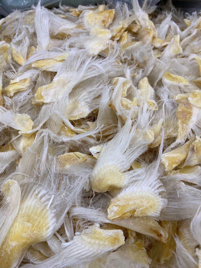 【包邮代发】鱼翅滑沙小鱼翅新鲜滋补海味干货汤料食材味道鲜
