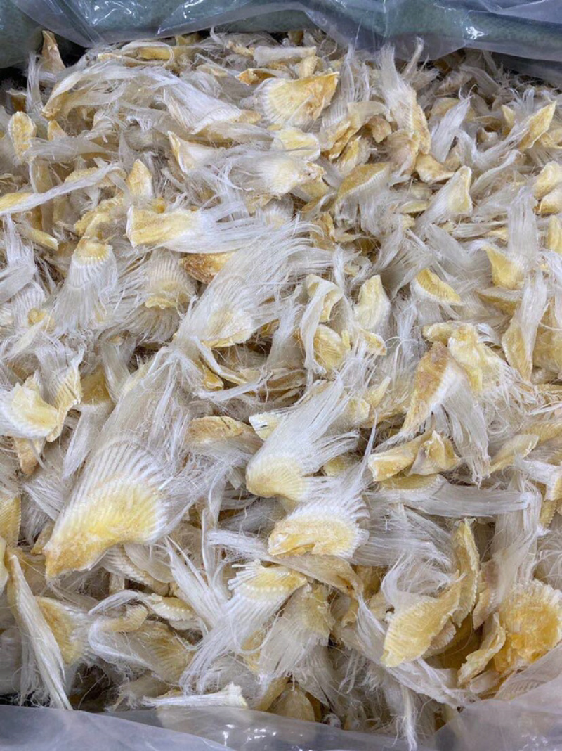 【包邮代发】鱼翅滑沙小鱼翅新鲜滋补海味干货汤料食材味道鲜