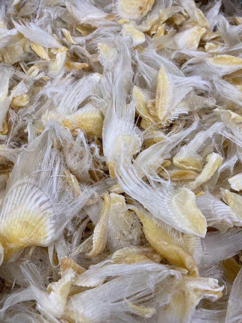 【包邮代发】鱼翅滑沙小鱼翅新鲜滋补海味干货汤料食材味道鲜
