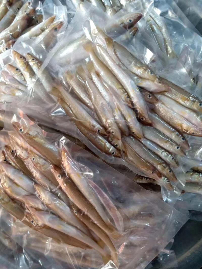 沙钻鱼，北海特产，肉多，味道正，个头大，各种菜色都可以做