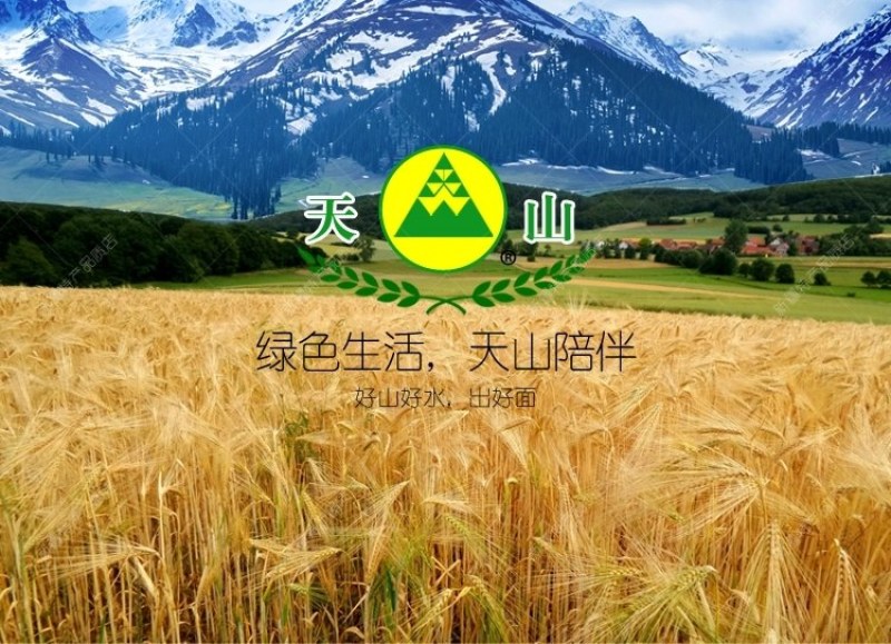 新疆天山面粉特一粉2.5公斤中高筋小包装家庭用5斤包子馒