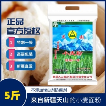 新疆天山面粉特一粉2.5公斤中高筋小包装家庭用5斤包子馒
