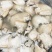 河蚌肉纯舌头现订现割
