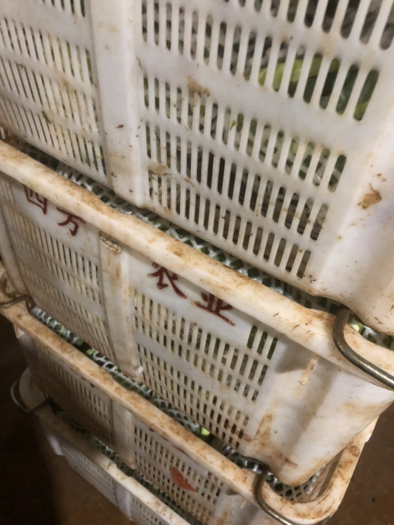 新鲜意大利宝塔菜宝塔花菜佛头菜罗马花椰菜特色花菜