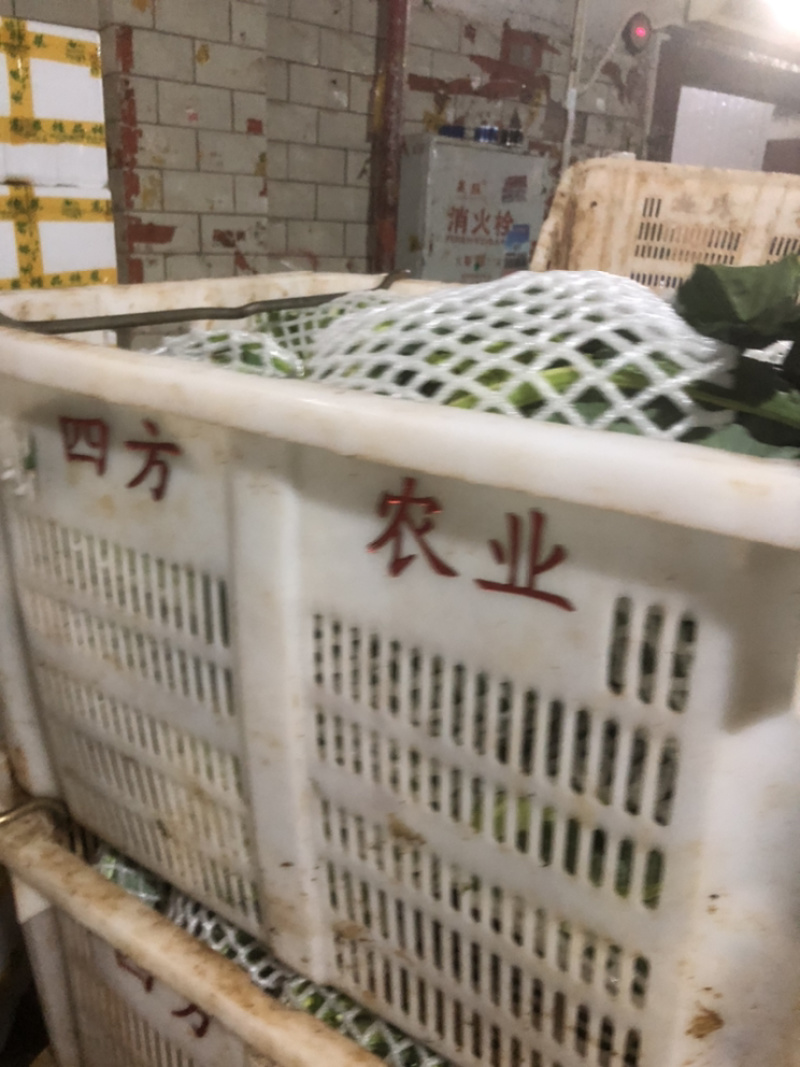 新鲜意大利宝塔菜宝塔花菜佛头菜罗马花椰菜特色花菜