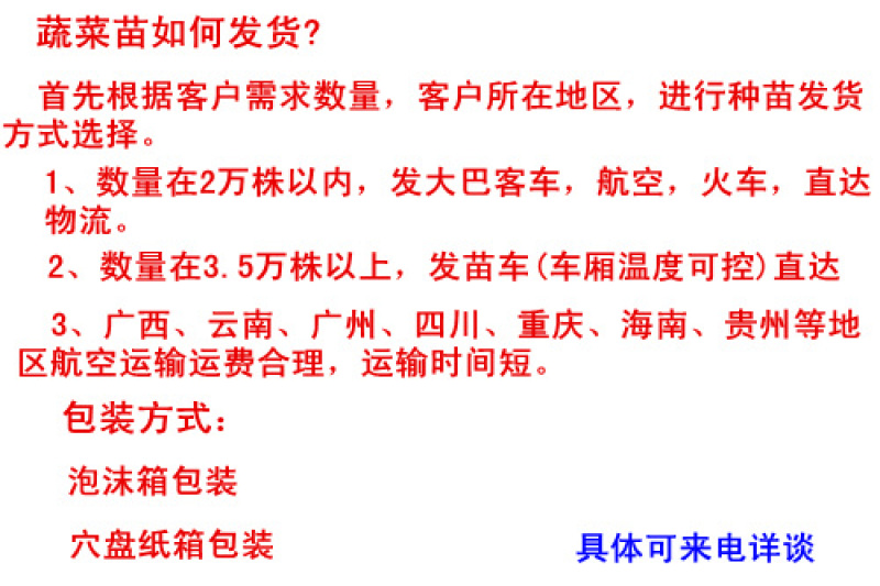 西葫芦苗越冬西葫芦苗耐寒西葫芦种苗抗病品种批发