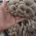 【热销】新鲜平菇量大价优现摘现发新鲜到家欢迎选购