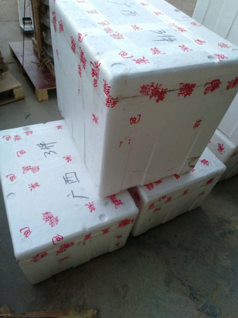 【精品】甘蓝苗，产地直发，货源充足，量大从优，欢迎来电