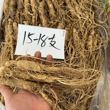 长白山鲜人参各种规格