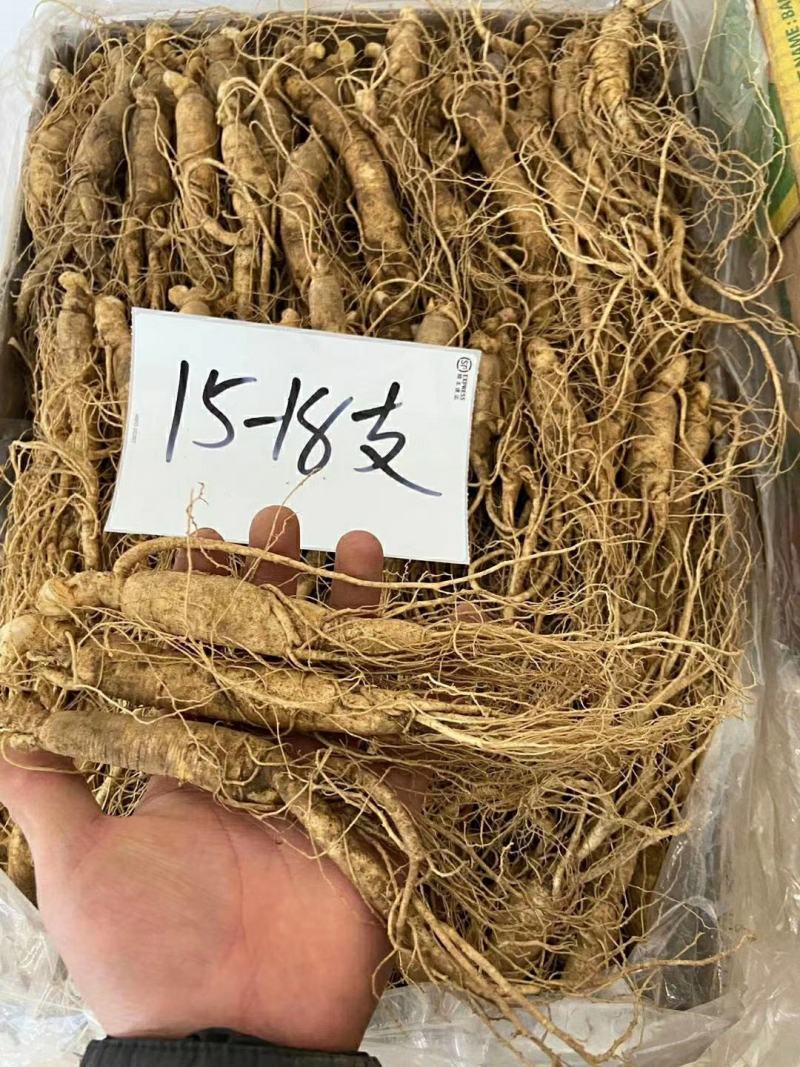 长白山鲜人参各种规格