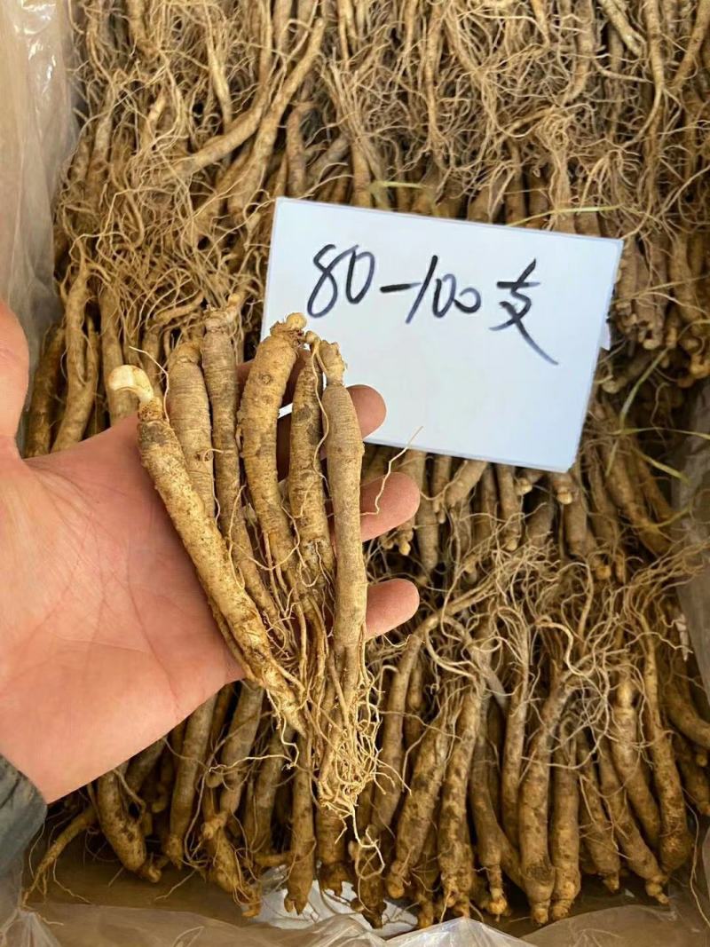 长白山鲜人参各种规格