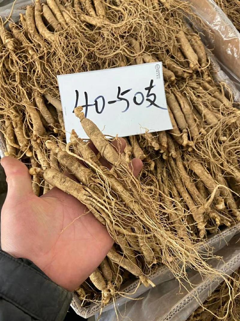 长白山鲜人参各种规格