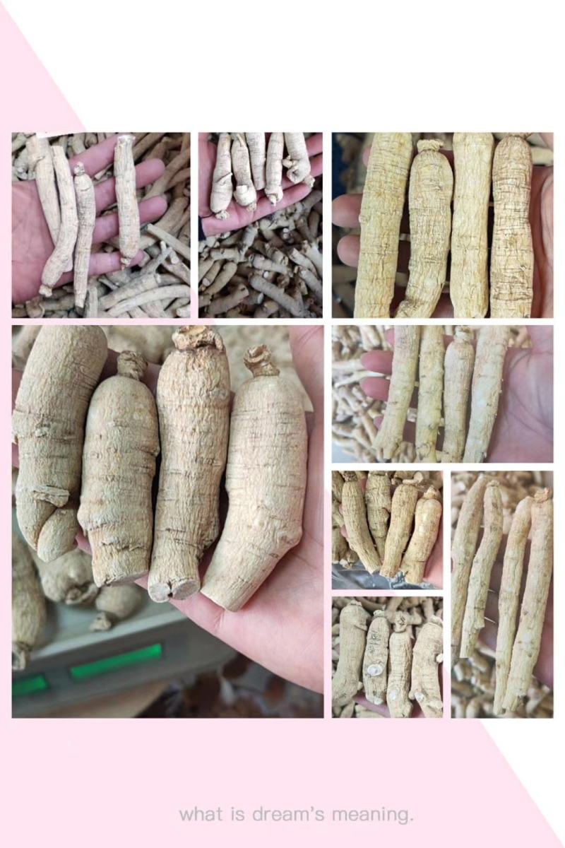 长白山人参各种规格西洋参，粒头，参条