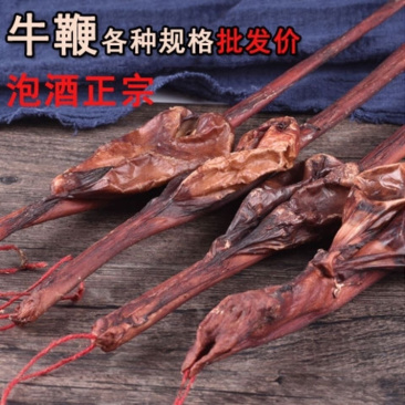 牛鞭干牛鞭牦牛鞭泡酒料泡酒药材干货