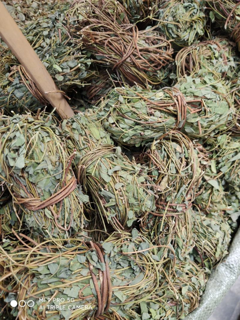 【推荐】鸡骨草野生新货带叶青绿青绿干货直发欢迎下单