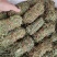 【推荐】鸡骨草野生新货带叶青绿青绿干货直发欢迎下单