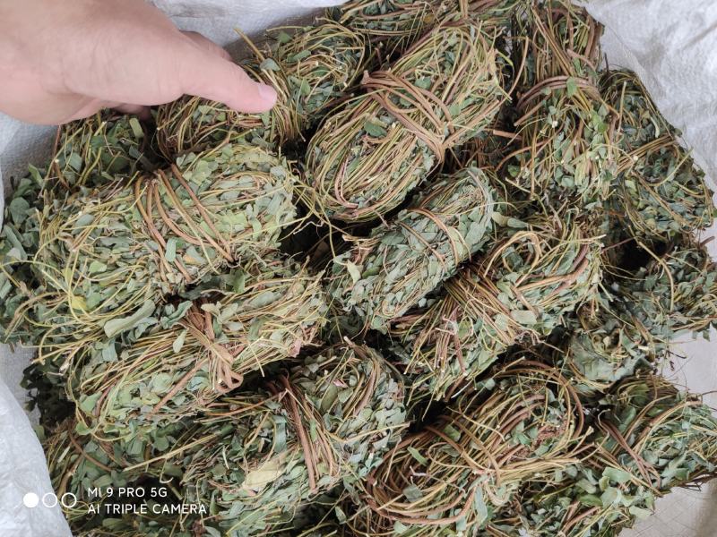 【推荐】鸡骨草野生新货带叶青绿青绿干货直发欢迎下单