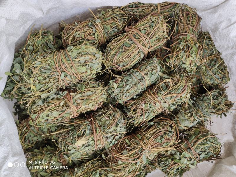 【推荐】鸡骨草野生新货带叶青绿青绿干货直发欢迎下单