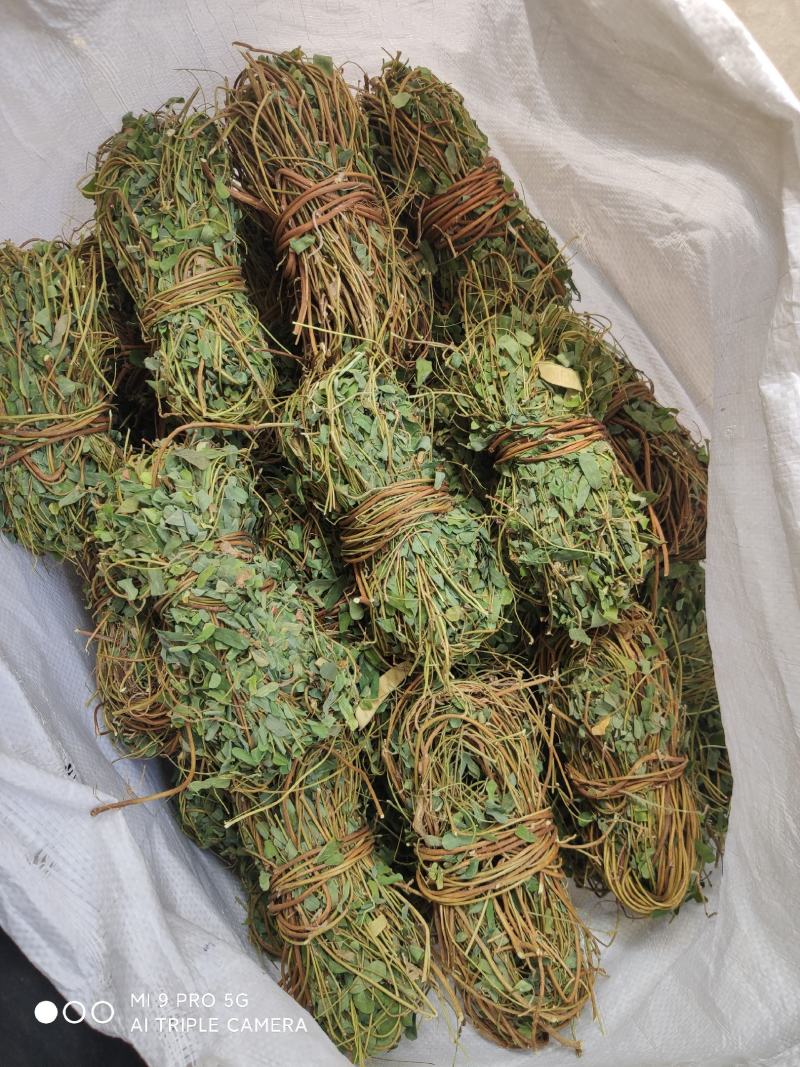 【推荐】鸡骨草野生新货带叶青绿青绿干货直发欢迎下单