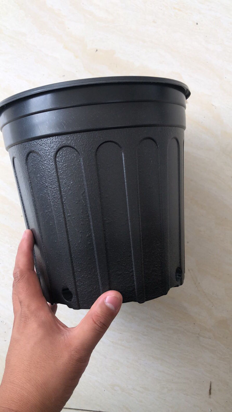 黑色五仑盆上口径297mm桶高232mm底径226mm