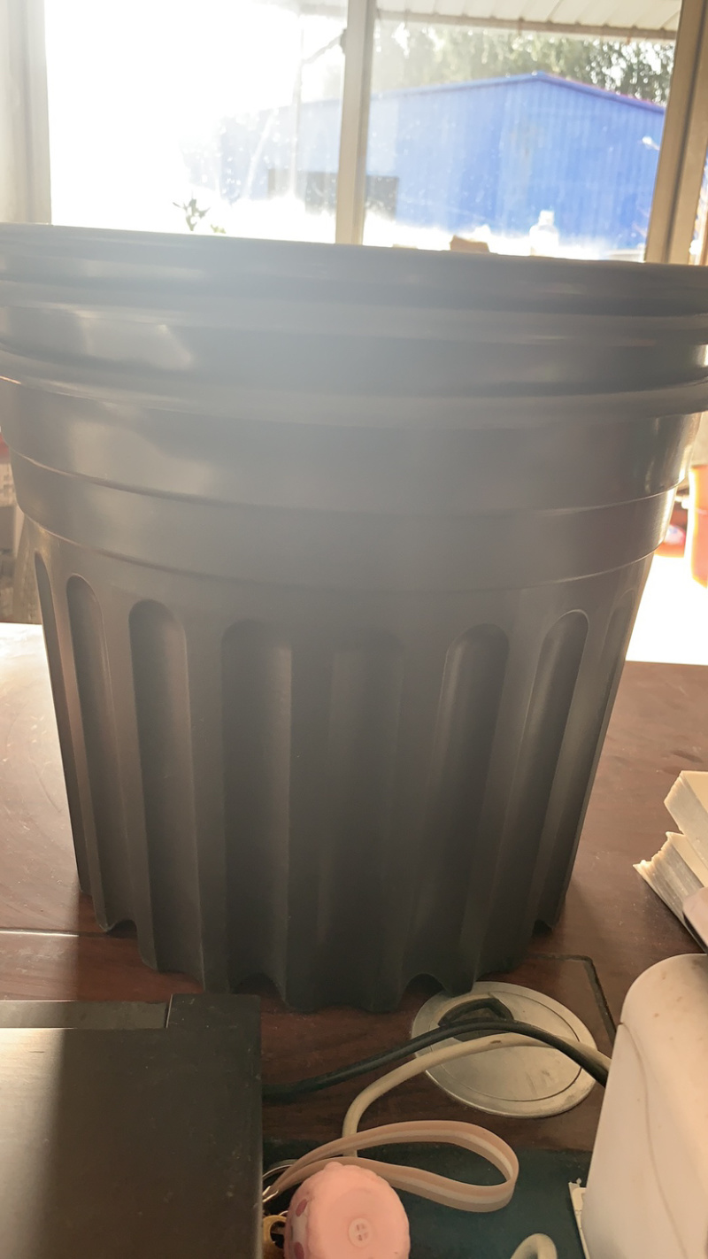 黑色五仑盆上口径297mm桶高232mm底径226mm
