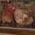 淘汰各种老母鸡，种母鸡，产蛋母鸡海兰灰，均重3.6一5斤