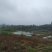 出售40亩田地600平猪场