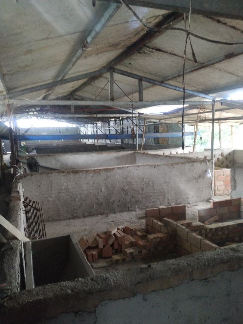 出售40亩田地600平猪场