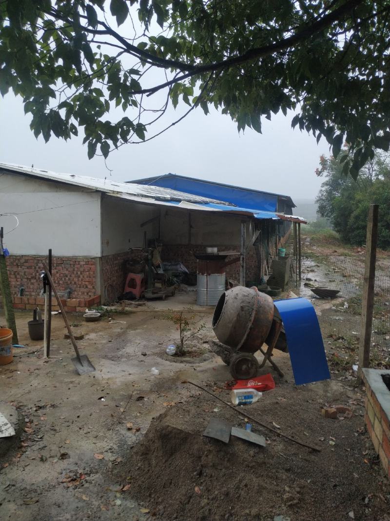 出售40亩田地600平猪场