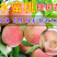 【保真苗】水蜜桃苗地栽四季种植果树嫁接特大当年结果