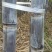 大量供应湖北黑皮甘蔗:高、粗、重，色黑、节长、口感脆甜