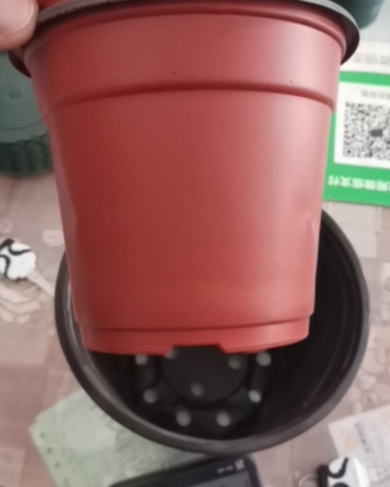 优质双色盆，塑料花盆，质优价廉，各大种植园都在用