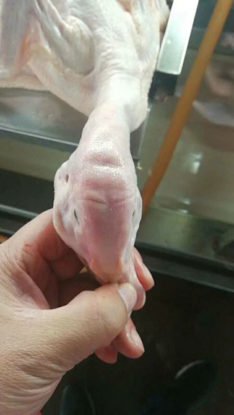 卓亿冰鲜冻品优级白条鸭，安全食品，质量保证！