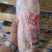 卓亿冰鲜冻品优级白条鸭，安全食品，质量保证！