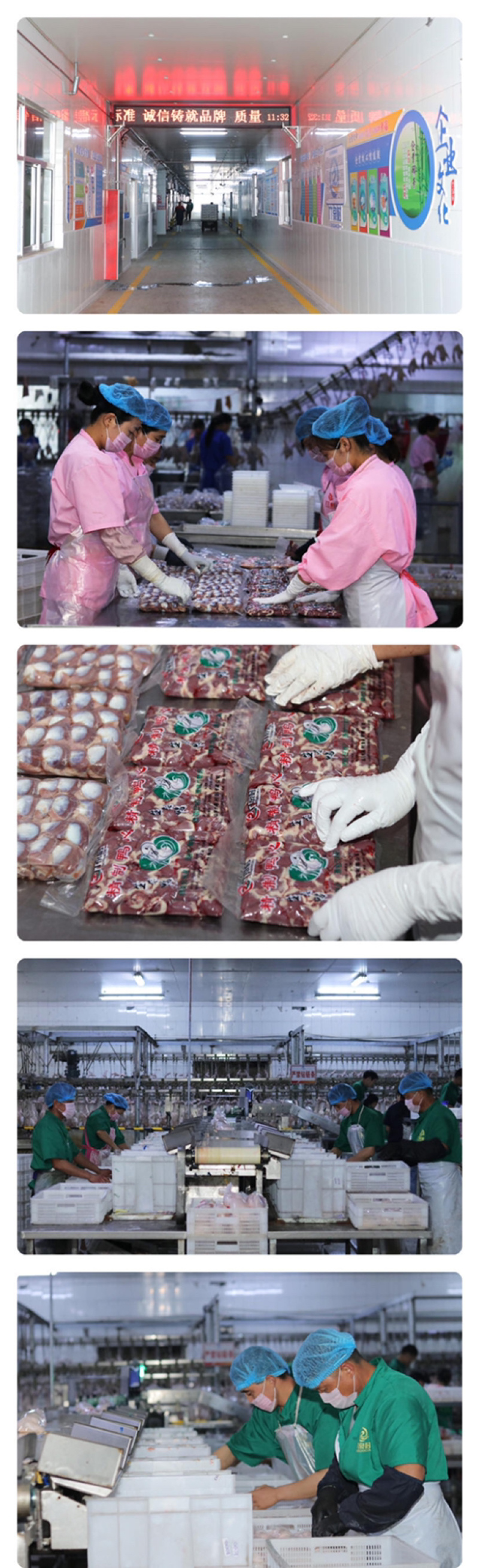 卓亿冰鲜冻品优级白条鸭，安全食品，质量保证！