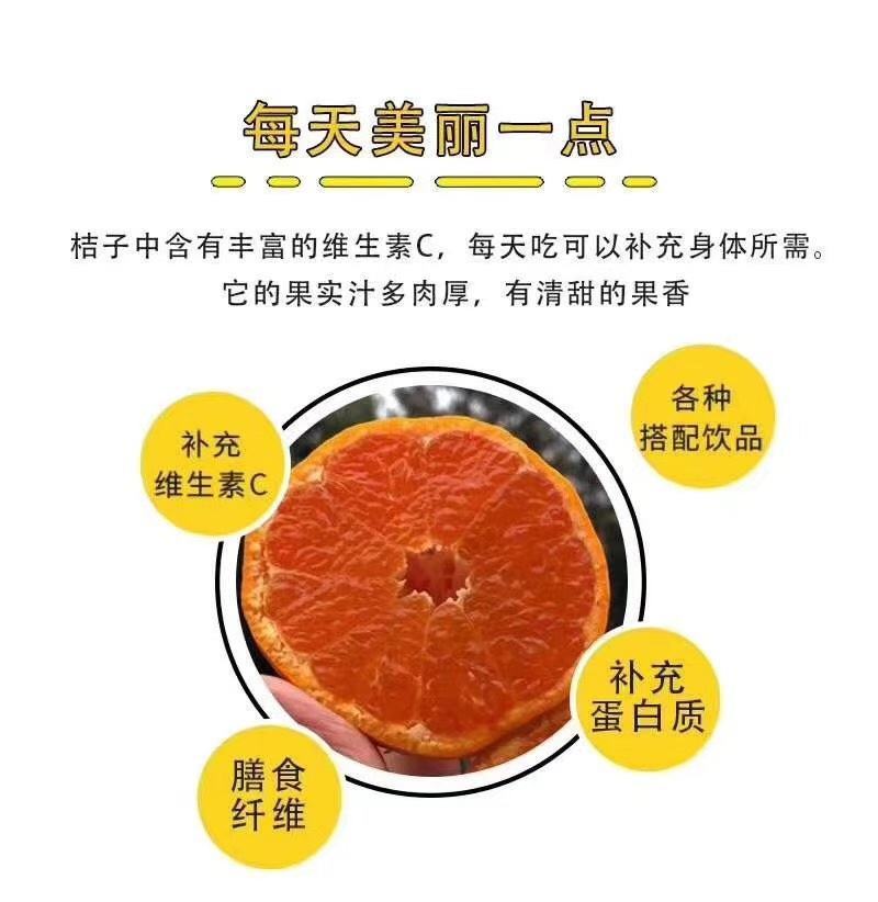 宝妈蜜橘，皮薄多汁，入口即化，响誉天下一奇，吃橘带皮*