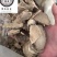 片姜黄保庆药业批发片姜黄发货前过筛实物拍摄