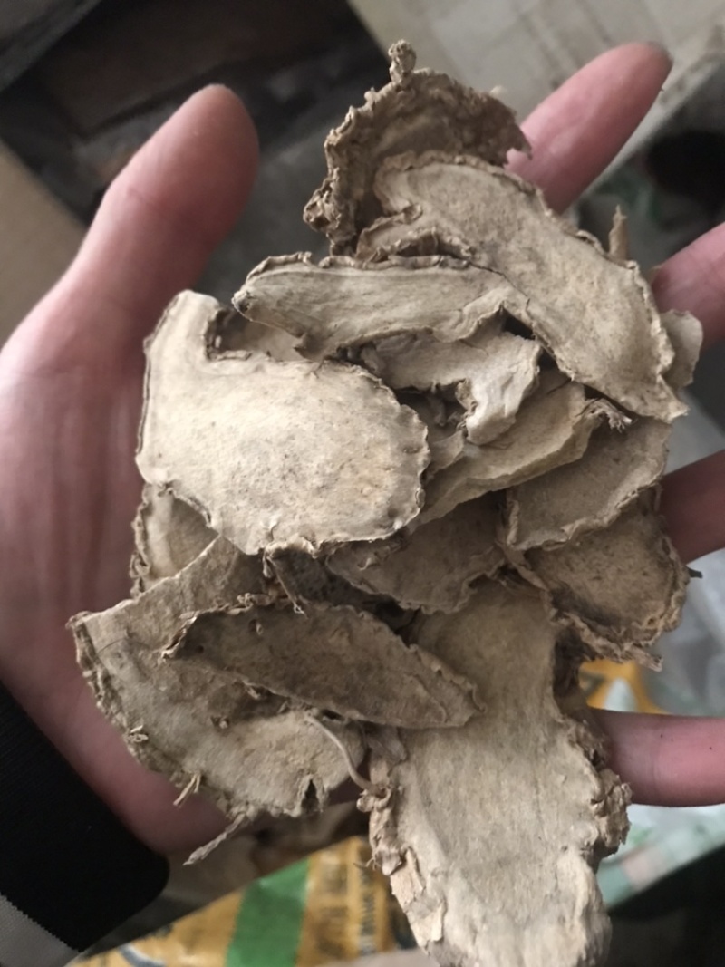 片姜黄保庆药业批发片姜黄发货前过筛实物拍摄