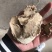 片姜黄保庆药业批发片姜黄发货前过筛实物拍摄