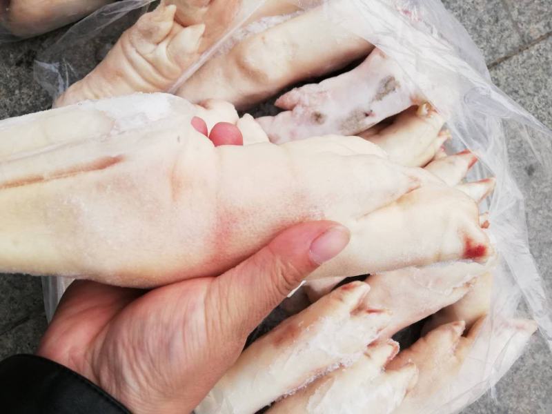 二级猪蹄，促销，经济实惠，欢迎抢购